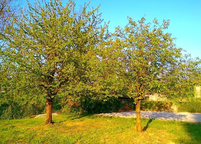 Vinago Belvedere Mornago